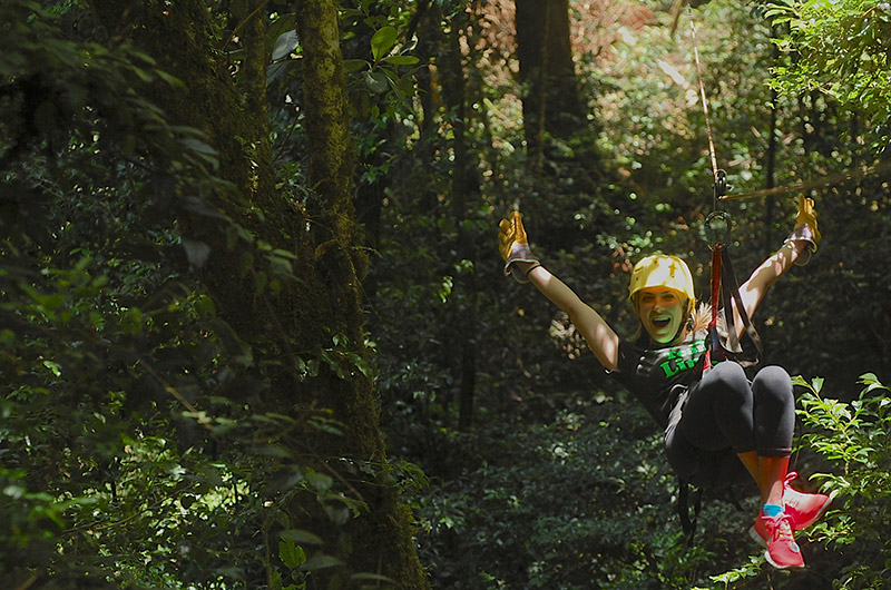 Canopy